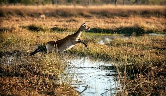 Cultural Experience in Burundi